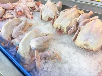 Cara Mulai Bisnis Ayam Ungkep Frozen